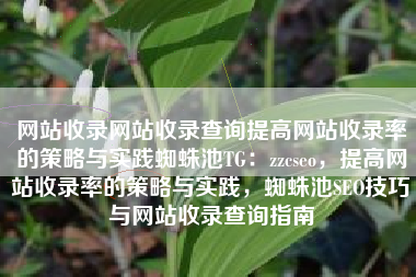 网站收录网站收录查询提高网站收录率的策略与实践蜘蛛池TG：zzcseo，提高网站收录率的策略与实践，蜘蛛池SEO技巧与网站收录查询指南