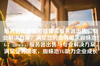 服务器出售服务器售卖服务器出售，专业解决方案，满足您的业务需求蜘蛛池TG：zzcseo，服务器出售与专业解决方案，满足业务需求，蜘蛛池TG助力企业成长