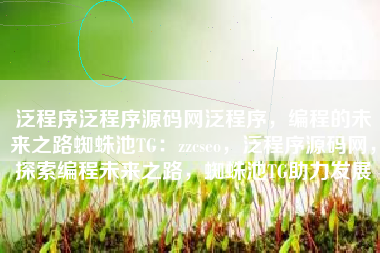 泛程序泛程序源码网泛程序，编程的未来之路蜘蛛池TG：zzcseo，泛程序源码网，探索编程未来之路，蜘蛛池TG助力发展