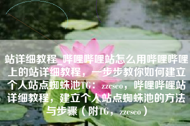 站详细教程_哔哩哔哩站怎么用哔哩哔哩上的站详细教程，一步步教你如何建立个人站点蜘蛛池TG：zzcseo，哔哩哔哩站详细教程，建立个人站点蜘蛛池的方法与步骤（附TG，zzcseo）