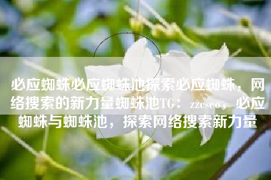 必应蜘蛛必应蜘蛛池探索必应蜘蛛，网络搜索的新力量蜘蛛池TG：zzcseo，必应蜘蛛与蜘蛛池，探索网络搜索新力量