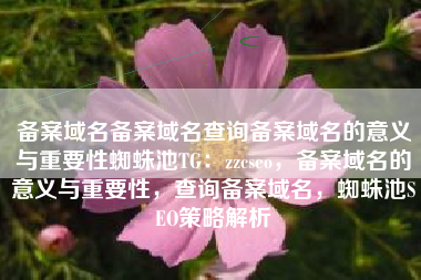 备案域名备案域名查询备案域名的意义与重要性蜘蛛池TG：zzcseo，备案域名的意义与重要性，查询备案域名，蜘蛛池SEO策略解析