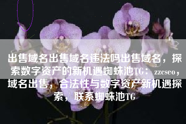 出售域名出售域名违法吗出售域名，探索数字资产的新机遇蜘蛛池TG：zzcseo，域名出售，合法性与数字资产新机遇探索，联系蜘蛛池TG