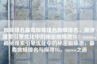 蜘蛛排名最毒蜘蛛排名蜘蛛排名，探寻搜索引擎优化中的秘密蜘蛛池TG：zzcseo，揭秘搜索引擎优化中的秘密蜘蛛池，最毒蜘蛛排名与探寻TG，zzcseo之道