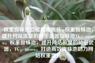 权重蜘蛛池百度权重蜘蛛ip权重蜘蛛池，提升网站流量的秘密武器蜘蛛池TG：zzcseo，权重蜘蛛池，提升网站流量的秘密武器，TG，zzcseo，打造高效蜘蛛池助力网站权重增长