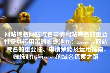 网站域名网站域名申请网站域名的重要性及其运用策略蜘蛛池TG：zzcseo，网站域名的重要性、申请策略及运用指南，蜘蛛池TG与zzcseo的域名探索之路