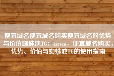 便宜域名便宜域名购买便宜域名的优势与价值蜘蛛池TG：zzcseo，便宜域名购买，优势、价值与蜘蛛池TG的使用指南