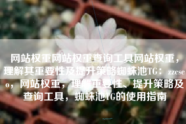 网站权重网站权重查询工具网站权重，理解其重要性及提升策略蜘蛛池TG：zzcseo，网站权重，理解重要性、提升策略及查询工具，蜘蛛池TG的使用指南