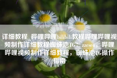 详细教程_哔哩哔哩bilibili教程哔哩哔哩视频制作详细教程蜘蛛池TG：zzcseo，哔哩哔哩视频制作详细教程，蜘蛛池TG操作指南