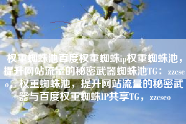 权重蜘蛛池百度权重蜘蛛ip权重蜘蛛池，提升网站流量的秘密武器蜘蛛池TG：zzcseo，权重蜘蛛池，提升网站流量的秘密武器与百度权重蜘蛛IP共享TG，zzcseo