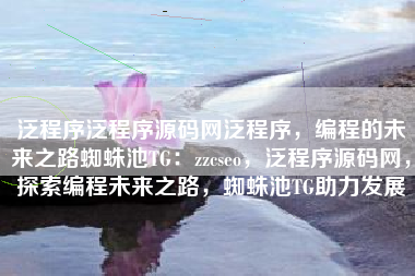 泛程序泛程序源码网泛程序，编程的未来之路蜘蛛池TG：zzcseo，泛程序源码网，探索编程未来之路，蜘蛛池TG助力发展