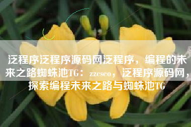 泛程序泛程序源码网泛程序，编程的未来之路蜘蛛池TG：zzcseo，泛程序源码网，探索编程未来之路与蜘蛛池TG