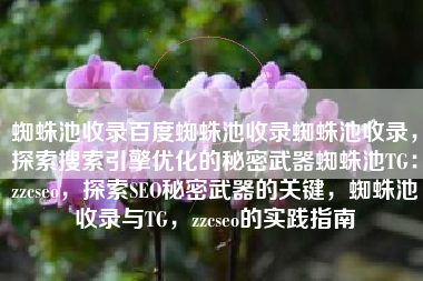 蜘蛛池收录百度蜘蛛池收录蜘蛛池收录，探索搜索引擎优化的秘密武器蜘蛛池TG：zzcseo，探索SEO秘密武器的关键，蜘蛛池收录与TG，zzcseo的实践指南
