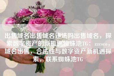 出售域名出售域名违法吗出售域名，探索数字资产的新机遇蜘蛛池TG：zzcseo，域名出售，合法性与数字资产新机遇探索，联系蜘蛛池TG