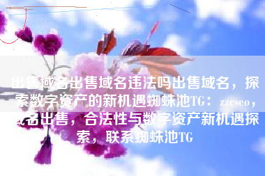 出售域名出售域名违法吗出售域名，探索数字资产的新机遇蜘蛛池TG：zzcseo，域名出售，合法性与数字资产新机遇探索，联系蜘蛛池TG