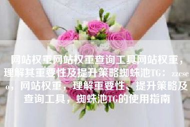 网站权重网站权重查询工具网站权重，理解其重要性及提升策略蜘蛛池TG：zzcseo，网站权重，理解重要性、提升策略及查询工具，蜘蛛池TG的使用指南