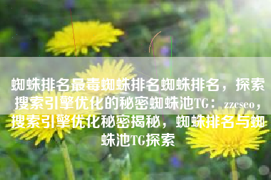 蜘蛛排名最毒蜘蛛排名蜘蛛排名，探索搜索引擎优化的秘密蜘蛛池TG：zzcseo，搜索引擎优化秘密揭秘，蜘蛛排名与蜘蛛池TG探索