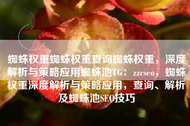 蜘蛛权重蜘蛛权重查询蜘蛛权重，深度解析与策略应用蜘蛛池TG：zzcseo，蜘蛛权重深度解析与策略应用，查询、解析及蜘蛛池SEO技巧