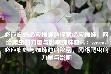 必应蜘蛛必应蜘蛛池探索必应蜘蛛，网络爬虫的力量与影响蜘蛛池TG：zzcseo，必应蜘蛛与蜘蛛池的秘密，网络爬虫的力量与影响