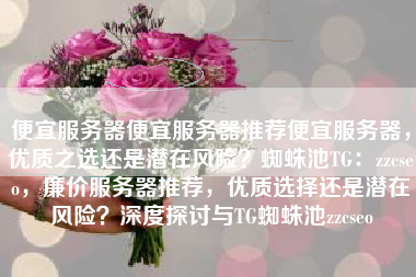 便宜服务器便宜服务器推荐便宜服务器，优质之选还是潜在风险？蜘蛛池TG：zzcseo，廉价服务器推荐，优质选择还是潜在风险？深度探讨与TG蜘蛛池zzcseo