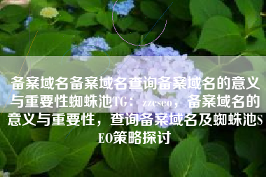 备案域名备案域名查询备案域名的意义与重要性蜘蛛池TG：zzcseo，备案域名的意义与重要性，查询备案域名及蜘蛛池SEO策略探讨