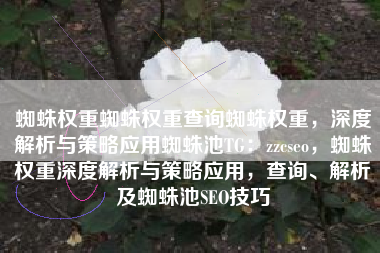 蜘蛛权重蜘蛛权重查询蜘蛛权重，深度解析与策略应用蜘蛛池TG：zzcseo，蜘蛛权重深度解析与策略应用，查询、解析及蜘蛛池SEO技巧