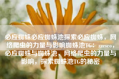 必应蜘蛛必应蜘蛛池探索必应蜘蛛，网络爬虫的力量与影响蜘蛛池TG：zzcseo，必应蜘蛛与蜘蛛池，网络爬虫的力量与影响，探索蜘蛛池TG的秘密