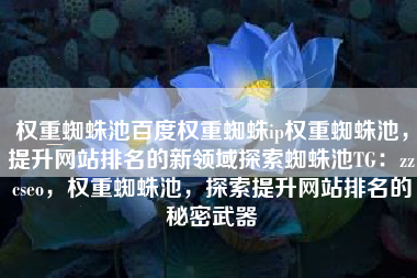 权重蜘蛛池百度权重蜘蛛ip权重蜘蛛池，提升网站排名的新领域探索蜘蛛池TG：zzcseo，权重蜘蛛池，探索提升网站排名的秘密武器