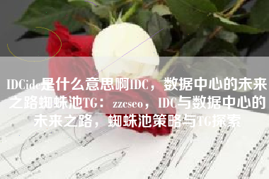 IDCidc是什么意思啊IDC，数据中心的未来之路蜘蛛池TG：zzcseo，IDC与数据中心的未来之路，蜘蛛池策略与TG探索