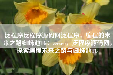泛程序泛程序源码网泛程序，编程的未来之路蜘蛛池TG：zzcseo，泛程序源码网，探索编程未来之路与蜘蛛池TG