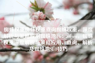 蜘蛛权重蜘蛛权重查询蜘蛛权重，深度解析与策略应用蜘蛛池TG：zzcseo，蜘蛛权重深度解析与策略应用，查询、解析及蜘蛛池SEO技巧