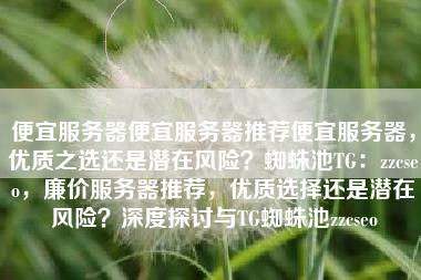 便宜服务器便宜服务器推荐便宜服务器，优质之选还是潜在风险？蜘蛛池TG：zzcseo，廉价服务器推荐，优质选择还是潜在风险？深度探讨与TG蜘蛛池zzcseo