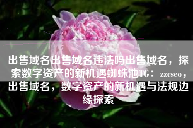 出售域名出售域名违法吗出售域名，探索数字资产的新机遇蜘蛛池TG：zzcseo，出售域名，数字资产的新机遇与法规边缘探索