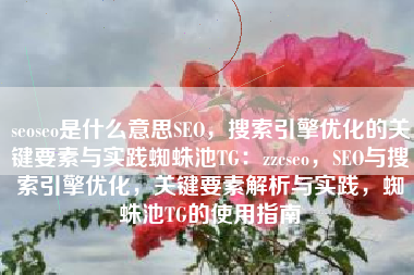 seoseo是什么意思SEO，搜索引擎优化的关键要素与实践蜘蛛池TG：zzcseo，SEO与搜索引擎优化，关键要素解析与实践，蜘蛛池TG的使用指南