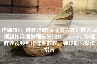 详细教程_哔哩哔哩bilibili教程哔哩哔哩视频制作详细教程蜘蛛池TG：zzcseo，哔哩哔哩视频制作详细教程，蜘蛛池TG操作指南