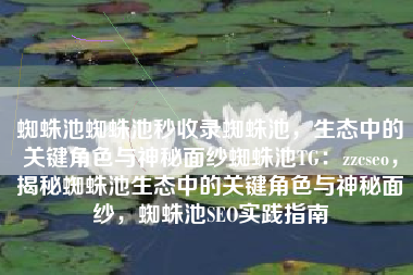 蜘蛛池蜘蛛池秒收录蜘蛛池，生态中的关键角色与神秘面纱蜘蛛池TG：zzcseo，揭秘蜘蛛池生态中的关键角色与神秘面纱，蜘蛛池SEO实践指南