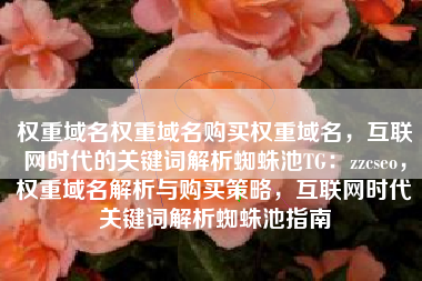 权重域名权重域名购买权重域名，互联网时代的关键词解析蜘蛛池TG：zzcseo，权重域名解析与购买策略，互联网时代关键词解析蜘蛛池指南