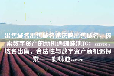 出售域名出售域名违法吗出售域名，探索数字资产的新机遇蜘蛛池TG：zzcseo，域名出售，合法性与数字资产新机遇探索——蜘蛛池zzcseo