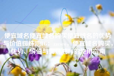 便宜域名便宜域名购买便宜域名的优势与价值蜘蛛池TG：zzcseo，便宜域名购买，优势、价值与蜘蛛池TG的使用指南