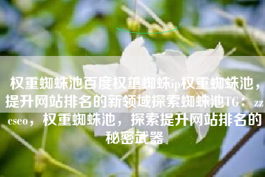 权重蜘蛛池百度权重蜘蛛ip权重蜘蛛池，提升网站排名的新领域探索蜘蛛池TG：zzcseo，权重蜘蛛池，探索提升网站排名的秘密武器