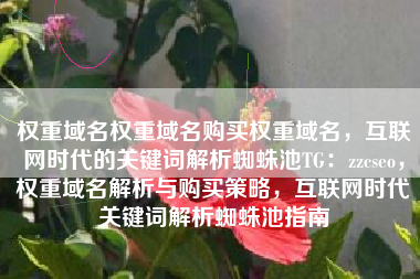 权重域名权重域名购买权重域名，互联网时代的关键词解析蜘蛛池TG：zzcseo，权重域名解析与购买策略，互联网时代关键词解析蜘蛛池指南