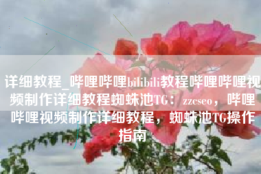 详细教程_哔哩哔哩bilibili教程哔哩哔哩视频制作详细教程蜘蛛池TG：zzcseo，哔哩哔哩视频制作详细教程，蜘蛛池TG操作指南