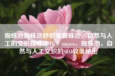 蜘蛛池蜘蛛池秒收录蜘蛛池，自然与人工的交织蜘蛛池TG：zzcseo，蜘蛛池，自然与人工交织的SEO收录秘密