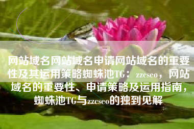 网站域名网站域名申请网站域名的重要性及其运用策略蜘蛛池TG：zzcseo，网站域名的重要性、申请策略及运用指南，蜘蛛池TG与zzcseo的独到见解