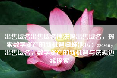 出售域名出售域名违法吗出售域名，探索数字资产的新机遇蜘蛛池TG：zzcseo，出售域名，数字资产的新机遇与法规边缘探索
