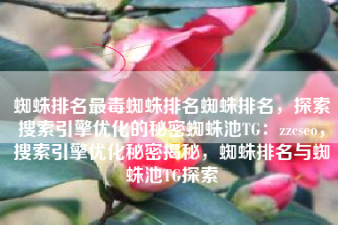 蜘蛛排名最毒蜘蛛排名蜘蛛排名，探索搜索引擎优化的秘密蜘蛛池TG：zzcseo，搜索引擎优化秘密揭秘，蜘蛛排名与蜘蛛池TG探索