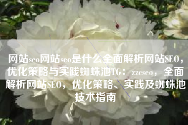 网站seo网站seo是什么全面解析网站SEO，优化策略与实践蜘蛛池TG：zzcseo，全面解析网站SEO，优化策略、实践及蜘蛛池技术指南