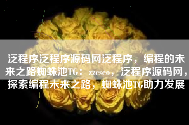 泛程序泛程序源码网泛程序，编程的未来之路蜘蛛池TG：zzcseo，泛程序源码网，探索编程未来之路，蜘蛛池TG助力发展