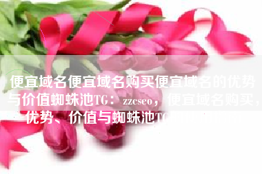 便宜域名便宜域名购买便宜域名的优势与价值蜘蛛池TG：zzcseo，便宜域名购买，优势、价值与蜘蛛池TG的使用指南