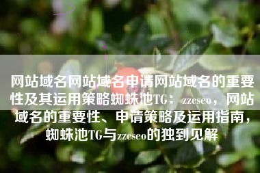 网站域名网站域名申请网站域名的重要性及其运用策略蜘蛛池TG：zzcseo，网站域名的重要性、申请策略及运用指南，蜘蛛池TG与zzcseo的独到见解
